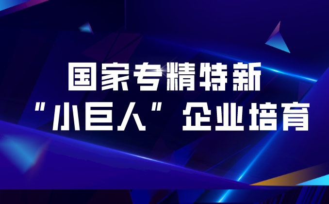 国家专精特新“小巨人”企业培育