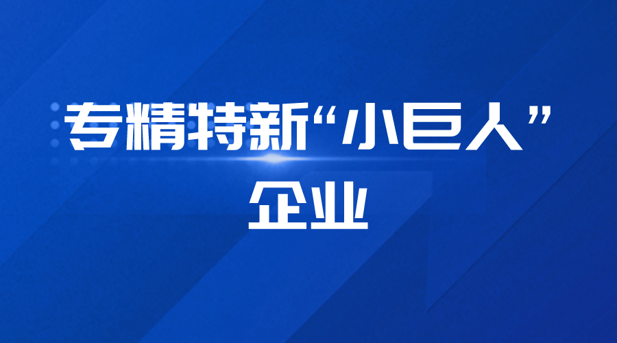 专精特新“小巨人”企业申报系统简介与填报说明