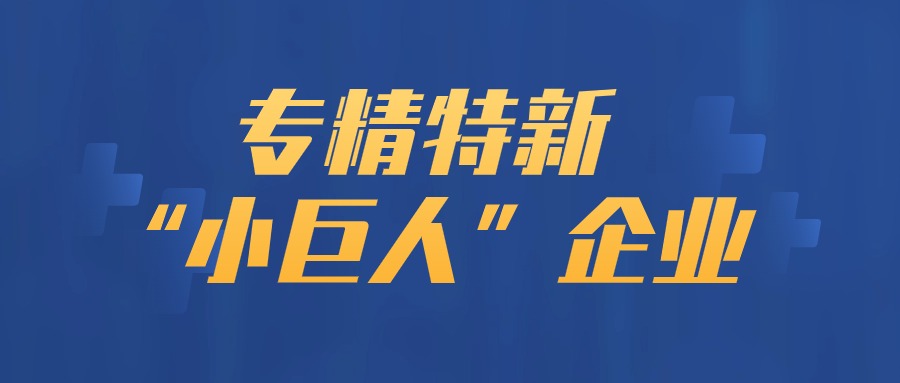 2024年“专精特新”小巨人企业认定变化分析